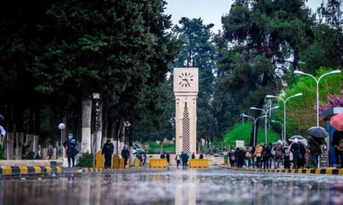 الصورة المصغرة للدورة